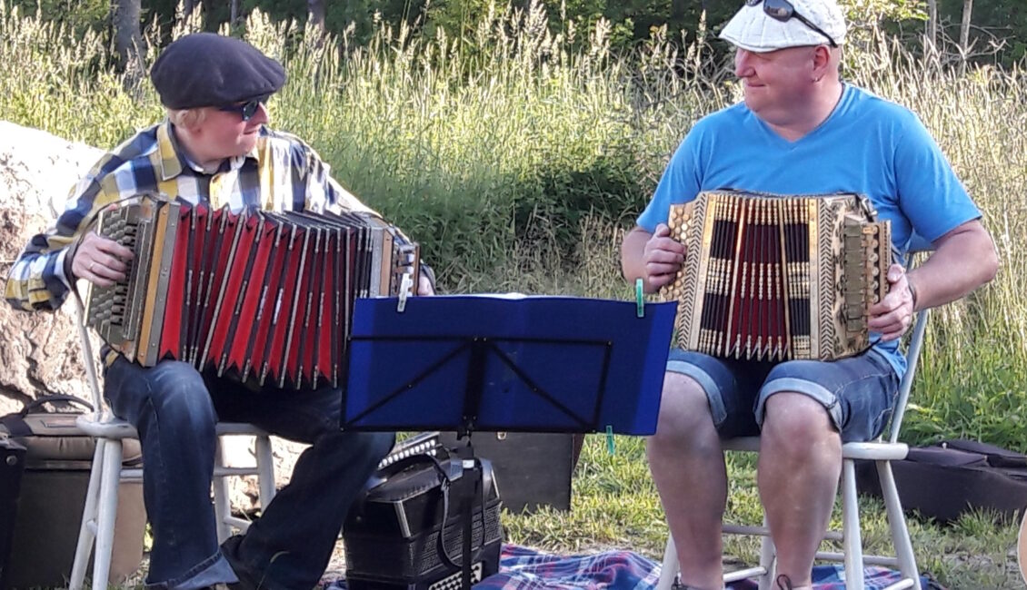 Vares kivi juures copy