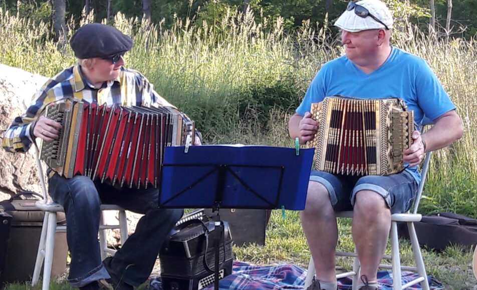 Vares kivi juures copy